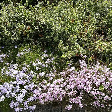 Daire Deutz Oberaichwald (Carinthia)