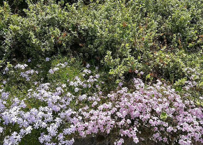 شقة Deutz Oberaichwald (Carinthia)